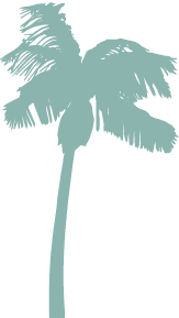 A dark silhouette of a tall palm tree with fronds spread high against a black background.